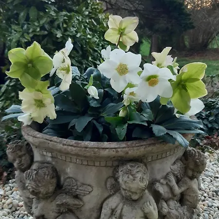 La Demeure D'olympe Vendégház 3*