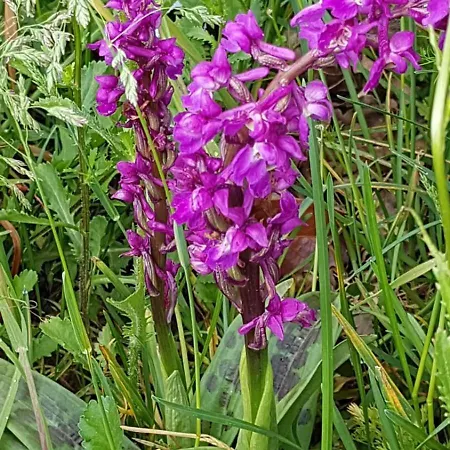 La Demeure D'olympe Vendégház Haleine