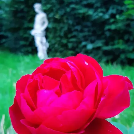 Πανσιόν La Demeure D'olympe 3*