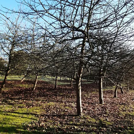 Vendégház La Demeure D'olympe Haleine