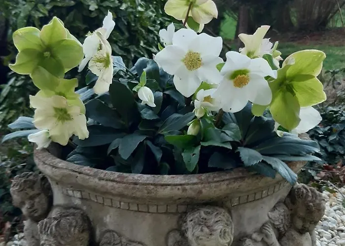 La Demeure D'olympe Pensionat 3*