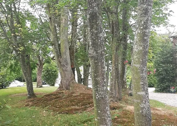 Pensionat La Demeure D'olympe Haleine