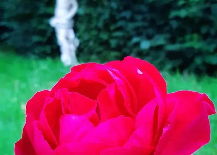 Pensionat La Demeure D'olympe 3*