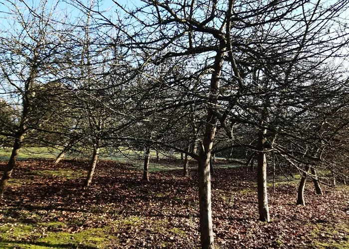 Pensionat La Demeure D'olympe Haleine