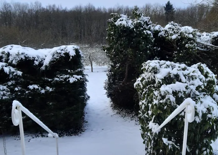 Pensionat La Demeure D'olympe 3*