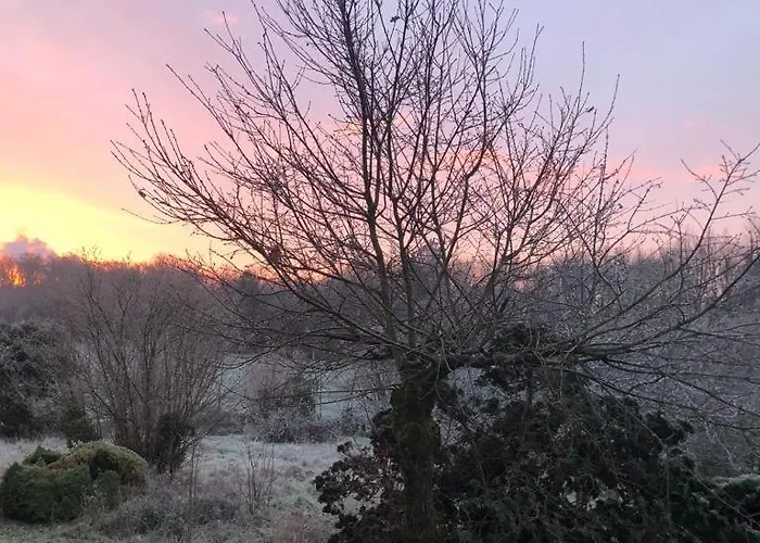 La Demeure D'olympe Pensionat 3*